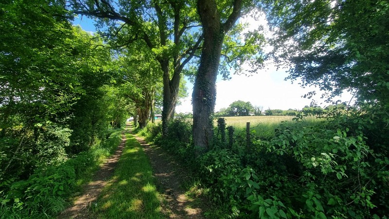 Circuit VTTAE n°26 (noir) - Tour de St Didier d'Aussiat