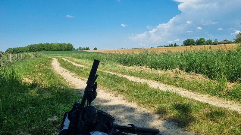Circuit VTT n°24 (rouge) - La St Martin_Montrevel-en-Bresse