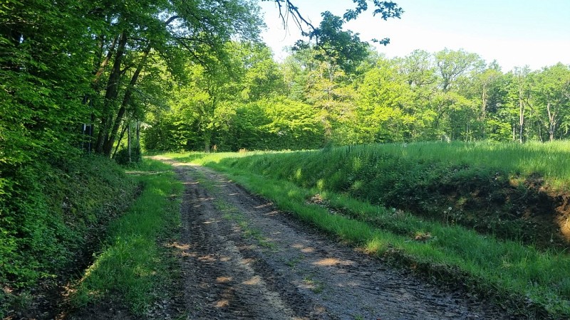 Circuit VTT n°24 (rouge) - La St Martin_Montrevel-en-Bresse
