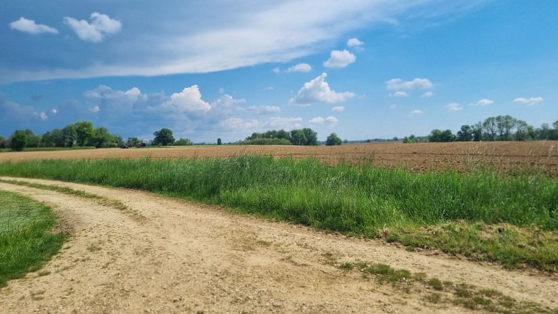 Circuit VTTAE n°24 (rouge) - La St Martin