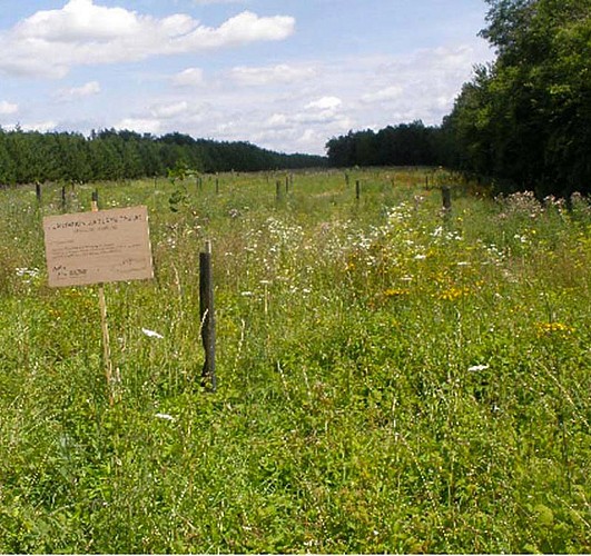 A la croisée des chemins de La Croix en Champagne