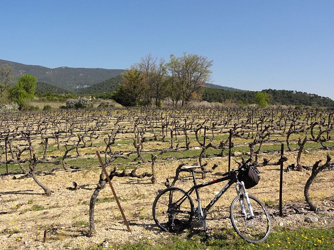 Entdeckung der typischen Dörfer der Alpes de Haute Provence.