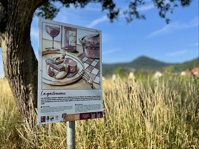 The enchanted wine corks’ path: The history of Rouge d’Ottrott