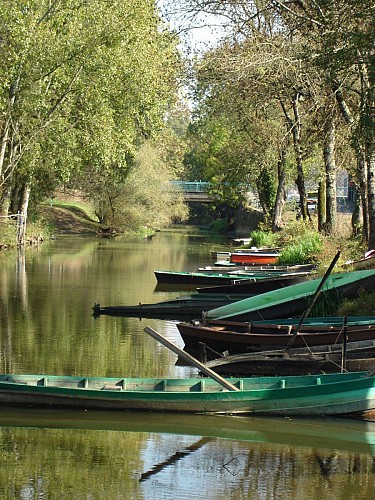 Quai des Romains