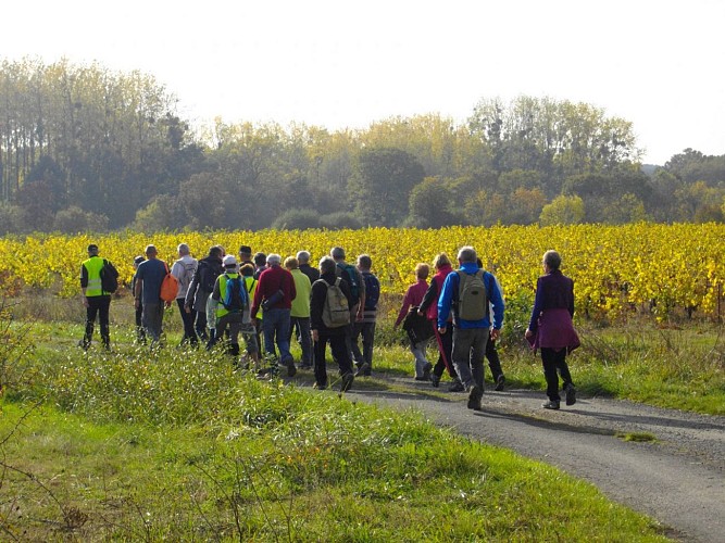 Circuit Les Vignes