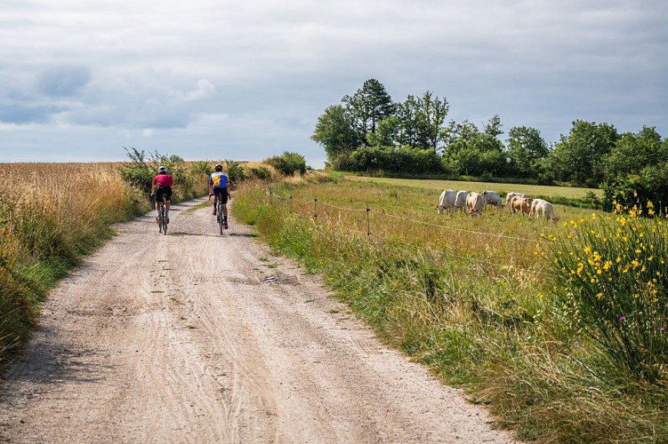 Vélo gravel à Lalbenque