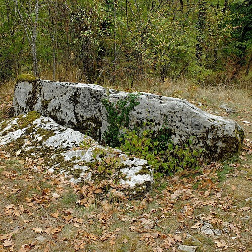 Dolmen à Foissac