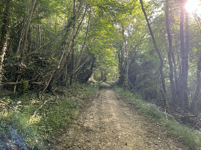 La petite montée vers le col de Lauach