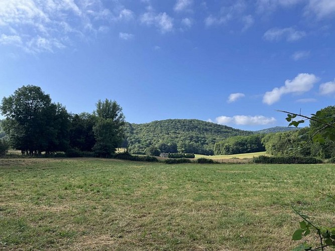 Le paysage qui accompagne le chemin du retour