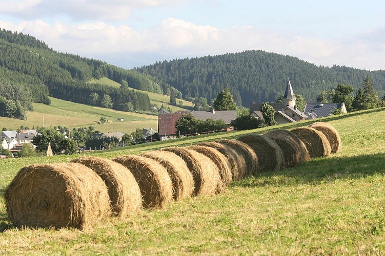 A la découverte des deux villages, Start in Méaudre, blaue Mountainbike-Route Nr. 12