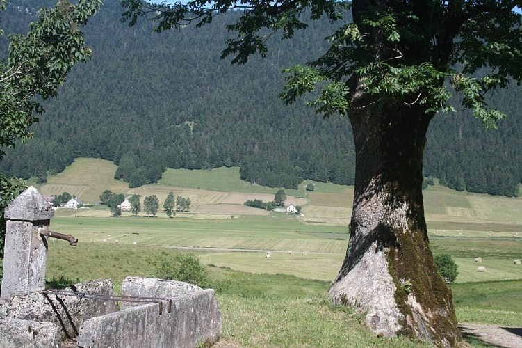 Le Bois des Dames - Circuit VTT n°21, - Rouge