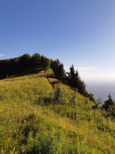 Les Clapiers Nave - Circuit VTT n°31 - Noir