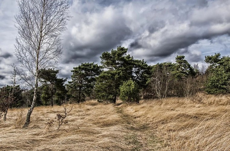P3 - Autour de la réserve naturelle de Bois-les-Dames