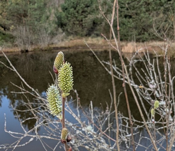 Sentier du Grand Duc