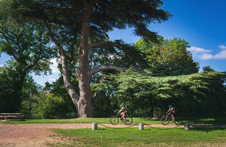 PHOTO 3_parc_de_la_fresnaye_copyrightLaurent Besnehard 7studio