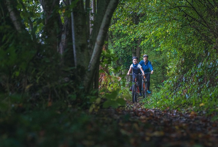 PHOTO 4_bois_du_roi_copyrightLaurent Besnehard 7studio