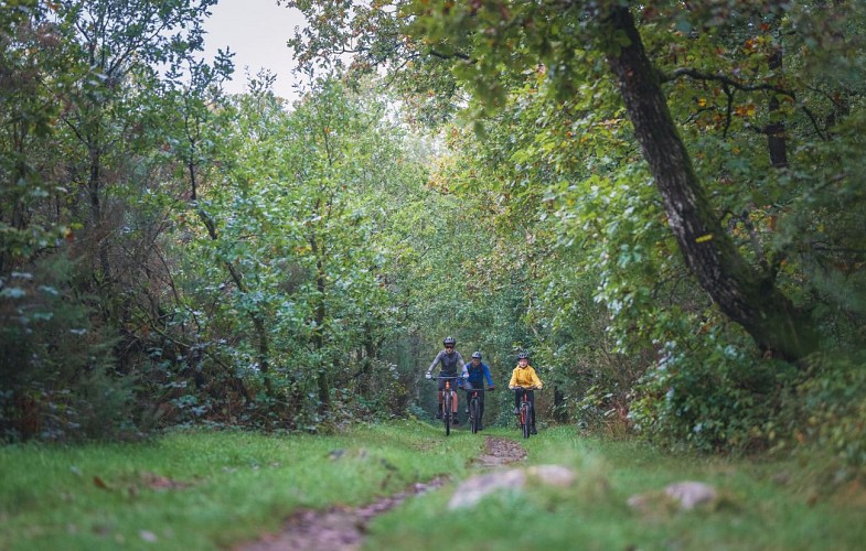 Les_Portes_de_la_Suisse_Normande