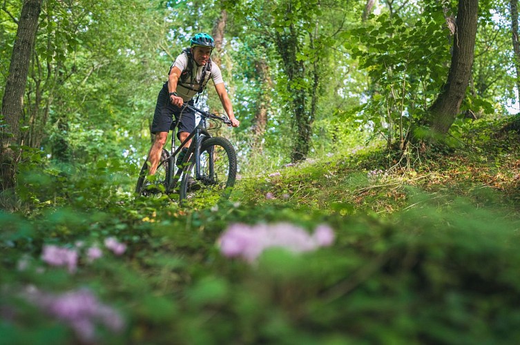 À_la_conquête_de_la_Suisse_Normande