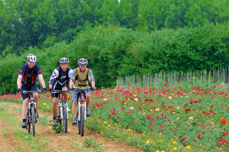 Circuit VTT Sur la piste des mégalithes et des troglodytes