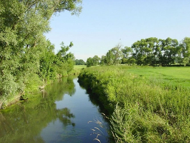 ALSACE CENTRALE  : Sentiers de la Mouette et de la Belette (67)