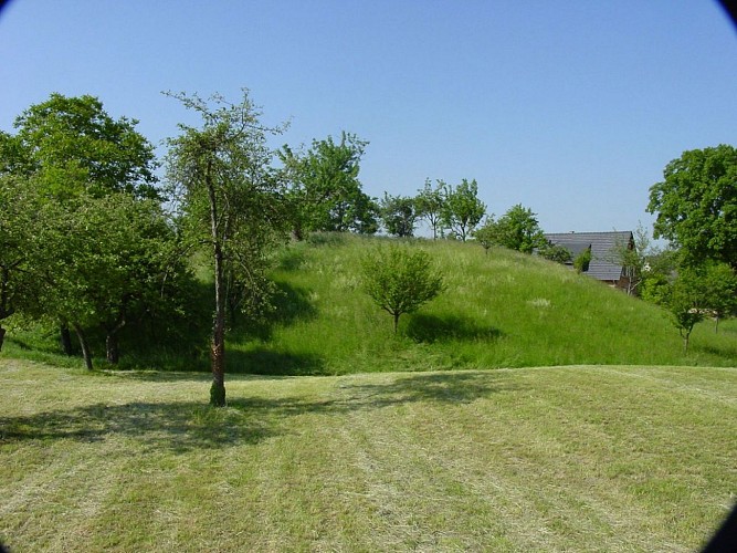 ALSACE CENTRALE : Le Grand Ried (67)