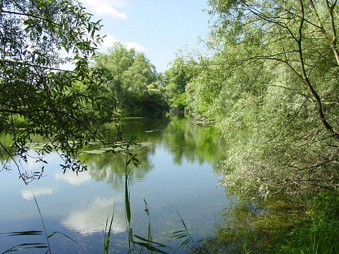 ALSACE CENTRALE : Autour du Schollerhin (67)