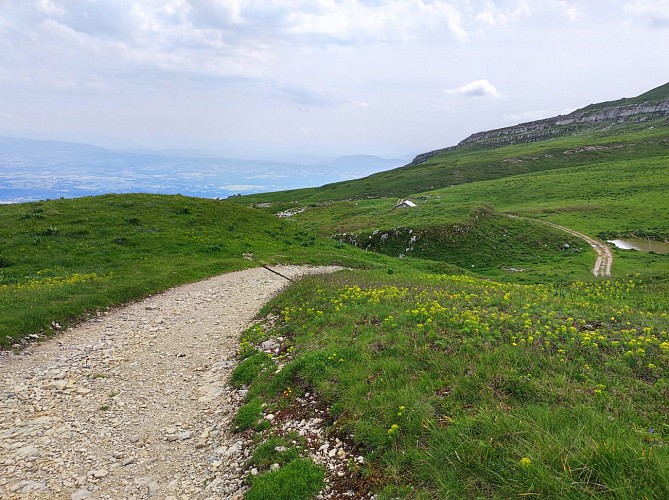 Randonnée pédestre : Crozet au Crêt de la Neige par la Calame_Crozet