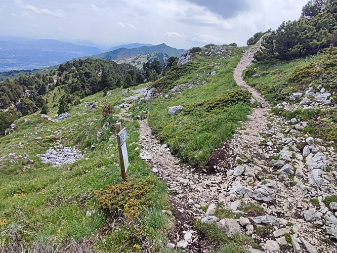 Randonnée pédestre : Crozet au Crêt de la Neige par la Calame_Crozet