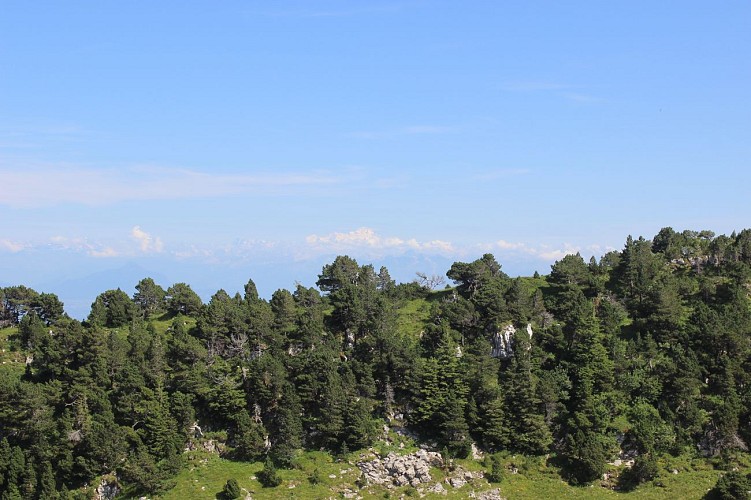 Wandelen: Crozet naar Crêt de la Neige via Calame_Crozet