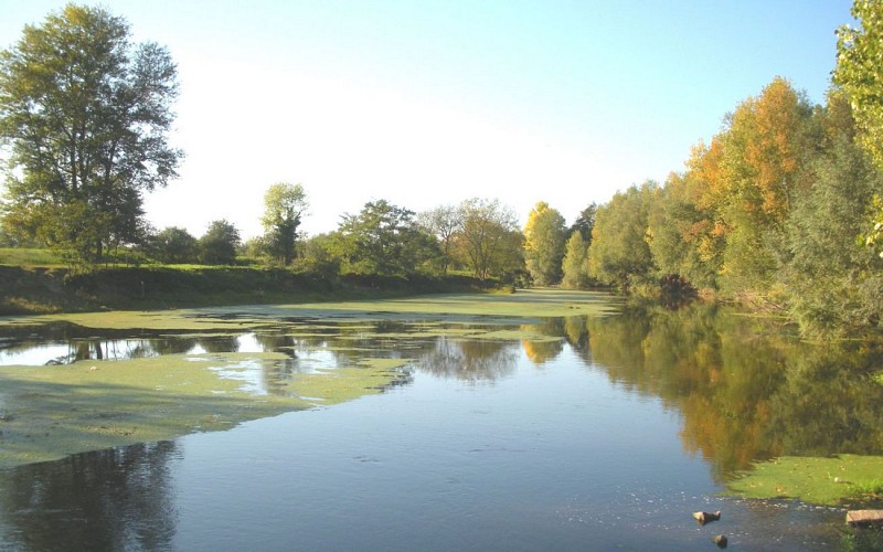 Le Cher au lac de Virlay