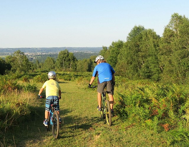 IMG-Derniers-conseils-avant-de-s-elancer-tourinsoft