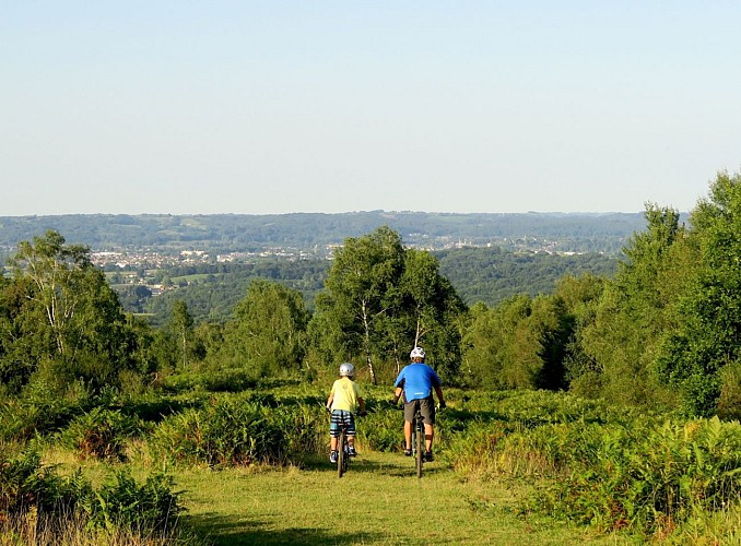 VTT N°73 - Bois de Haut
