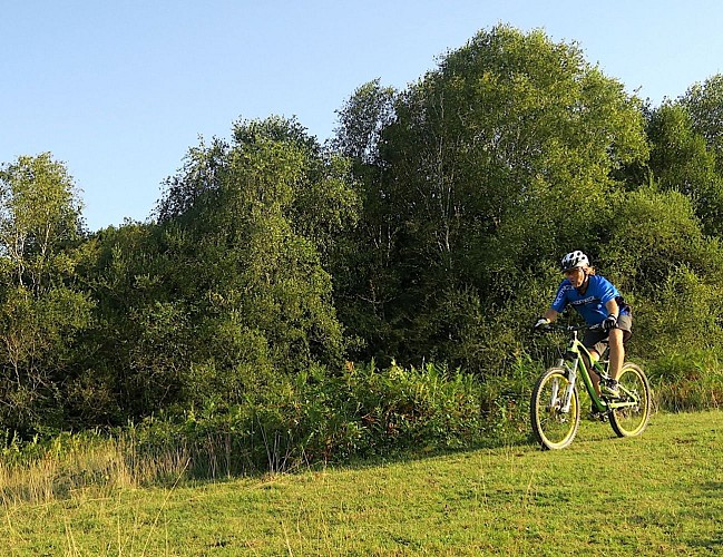 Bois du Haut VTT
