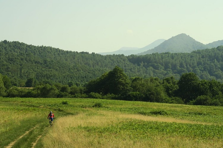 VTT N°79 - Enduro de Bugangue