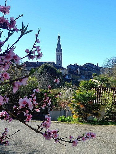 Le chemin des Pyrénées