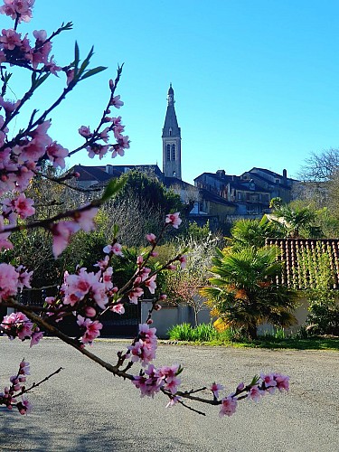 Le chemin des Pyrénées