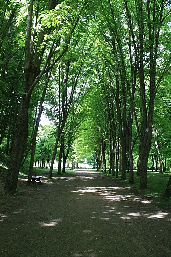 Rando235_VignesdeFay_ParcDuChatellier_Clermont