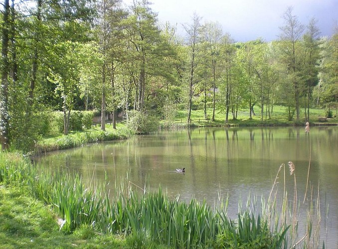 Rando235_VignesdeFay_Etang de Faÿ