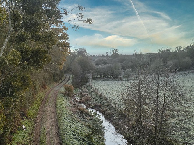La guigne (chemin de Vieux)