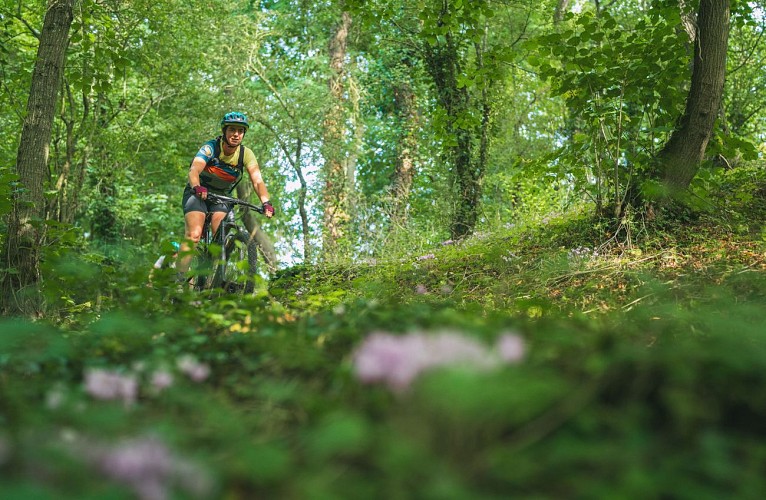 photo4_generic_copyright_parc_la_fresnaye_Laurent Besnehard 7studio