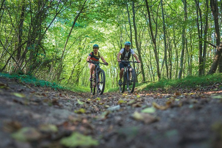 Du_coté_de_Sainte_Anne