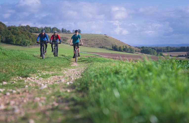 Du_Coté_de_Sainte_Anne