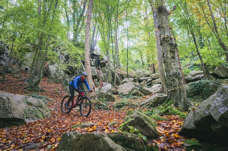 Le_Diable_aux_trousses