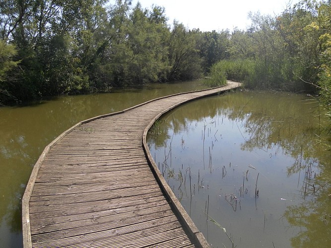 Marais du vigueirat - Sentier des Cabanes