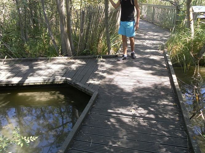 Marais du vigueirat - Sentier des Cabanes