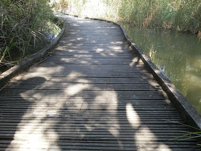 Marais du vigueirat - Sentier des Cabanes