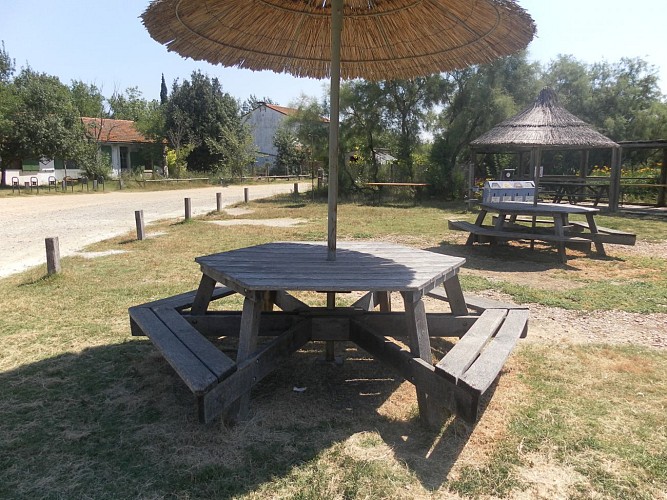 Marais du vigueirat - Sentier des Cabanes