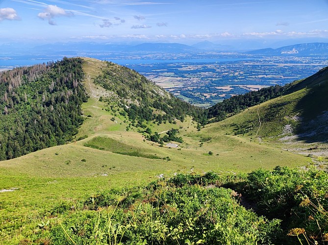Wandern und Trekking : La Grande Marche Populaire de Gex_Gex