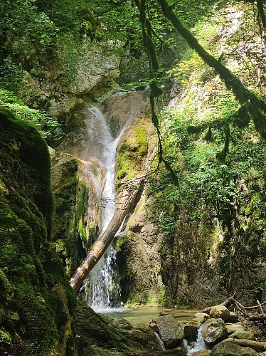 Wandelen : La Grande Marche Populaire de Gex_Gex