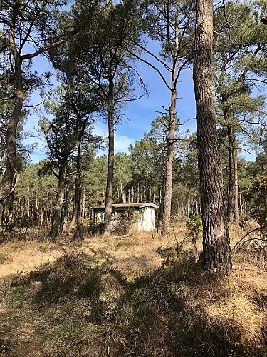 landes-3-margauxchoquet